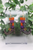 Witch Shoes || Wood Dangle Earrings || Hypoallergenic