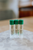 Double Mint Lip Butter