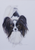 Papillon  - Joni Monroe Beinborn Portrait House and Garden Flag