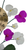30" Purple White And Gold Metal Silent Analog Floral Novelty Wall Clock