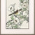 Set Of Two Timeless Nature Set of Set Brown Framed Wall Art