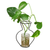 Propagation - Wire Frame