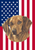 Dachshund  Red - Best of Breed American Flags House and Garden Size