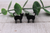 Black Cat || Stud Earrings || Hypoallergenic