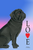 Pug  Black- Tomoyo Pitcher Love  Garden Flag 