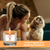 12 Oz Candle Mandarin Ginger