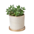 Big Balter Pot