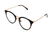 51141 Sunglasses - Assorted