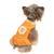 The Oranje Princess Dog Dress