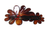 Twin Floral Tortoise Shell Barrette