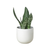Planter