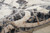 5' X 7' Ivory Charcoal and Gray Floral Distressed Non Skid Area Rug
