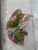 Begonia Brevirimosa S Exotica House Plant