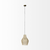 Gold Metal Wire Mesh Hanging Pendant Light