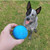 Wag Ball Ultra Durable Synthetic Rubber Chew Toy 