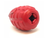 Grenade Shaped eDispenser Durable Dog Chew Toy & Treat Dispenser 