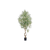 Artificial Olive In Cylindrical White Cement Pot