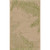 2' X 3' Beige Floral Indoor Outdoor Area Rug