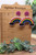 Colorful Rainbow || Dangle Earrings || Hypoallergenic