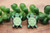 Turtles || Stud Earrings || Hypoallergenic