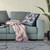 18x18 Gray Black Pink Blown Seam Broadcloth Floral Throw Pillow