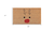 17" X 29" Natural Black and Red Coir Reindeer Outdoor Christmas Door Mat