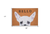 17" X 29" Natural Black and White Coir Chihuahua Hello Outdoor Door Mat