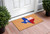 17" X 29" Natural Red White and Blue Coir Texas Outdoor Door Mat