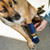 Healers Elastic Wrap Leg Bandage (with Gauze)