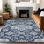 Medallion Washable Indoor Outdoor Area Rug