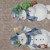 10' X 14' Taupe Denim Blue And Ivory Snowmen Washable Indoor Outdoor Area Rug