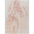 Abstract Washable Indoor Outdoor Area Rug