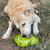 Water Frog eTray - Shallow Slow Feeder Dog Bowl for Enrichment 