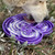 Water Frog eTray - Shallow Slow Feeder Dog Bowl for Enrichment 