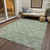 Floral Washable Indoor Outdoor Area Rug