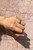 Forest jade stone skinny stacking rings