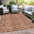 Floral Washable Indoor Outdoor Area Rug