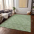 Washable Indoor Outdoor Area Rug