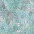 Floral Washable Indoor Outdoor Area Rug
