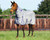 TuffRider Fly By Power Mesh Fly Sheet