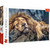 1000 Piece Jigsaw Puzzles, 1000 Piece Jigsaw Puzzle