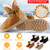 Women Ladies Snow Boots 