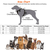 Light Up Dog Harness Rechargeable LED Dog Harness 