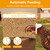 6Packs DIY Spill-free Chicken Feeders 