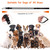 5FT Light Up Dog Leash LED Dog 