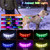 5FT Light Up Dog Leash LED Dog 