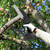 Electric Mini Chainsaw Portable Handheld