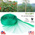 13 x 33ft Garden Netting 