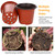 100Pcs 100mm 3.94in Plastic Plant