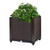 Raised Garden Bed Plant Growth Box 